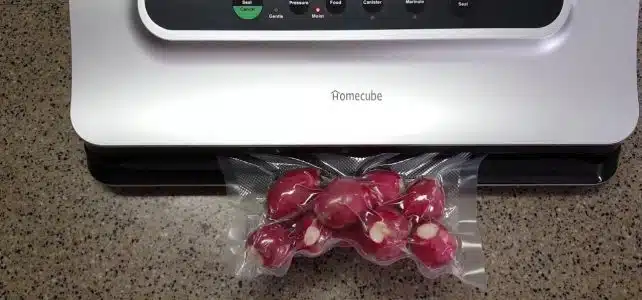 Quelle est la meilleure marque de machine à emballer sous vide ?